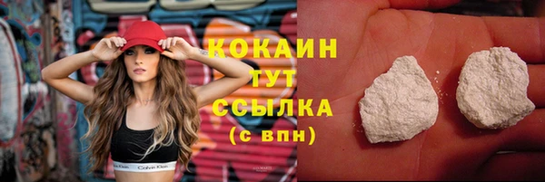 дмт Нея