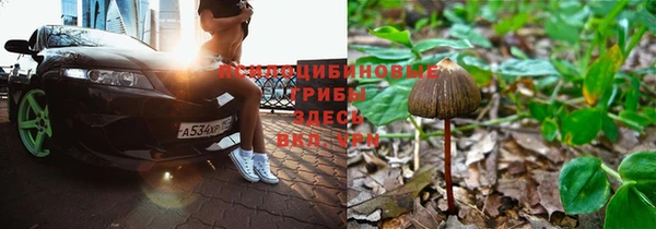 бутират Армянск