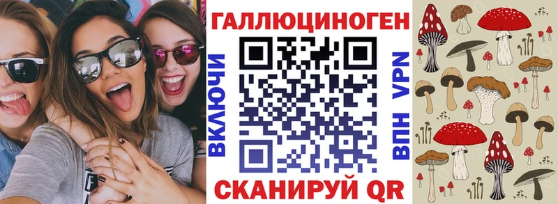 купить наркотики сайты Медногорск shop как зайти Галлюциногенные грибы Psilocybe ОМГ ОМГ онион